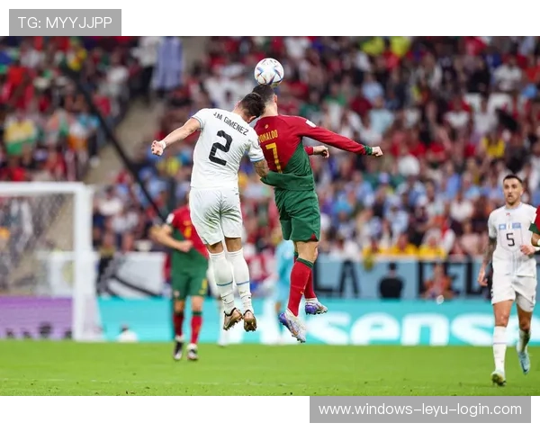 效率与观感反差：莱奥到底强在哪里